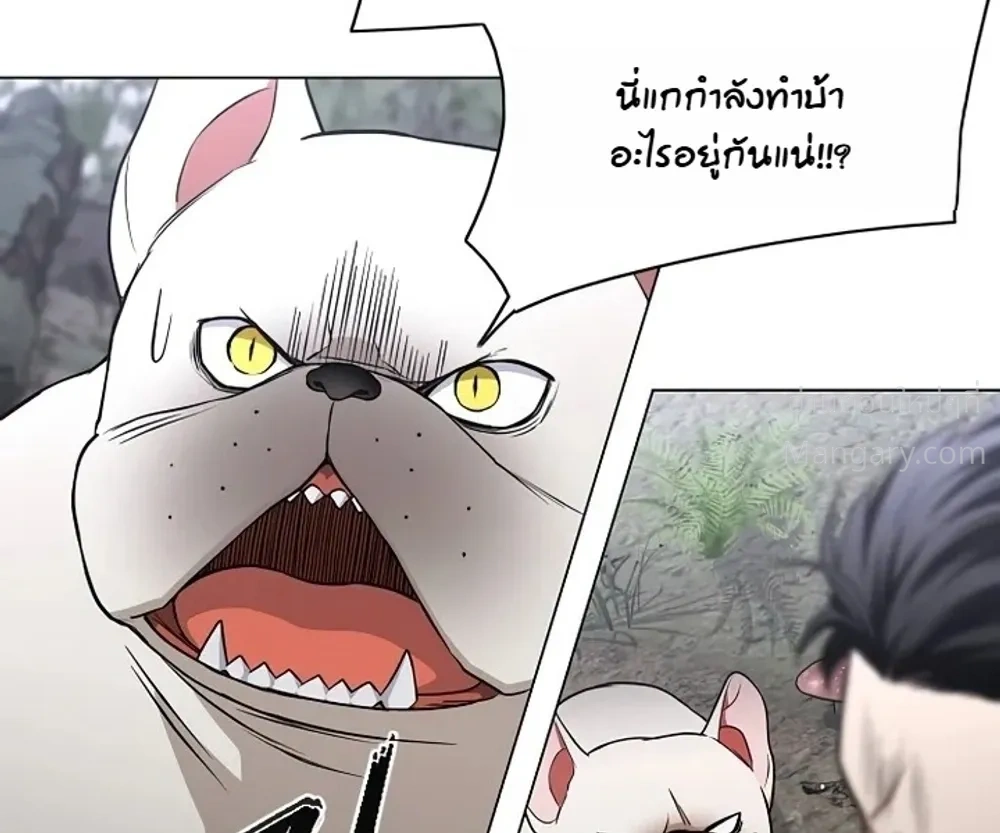 หน้า 6 จาก 52