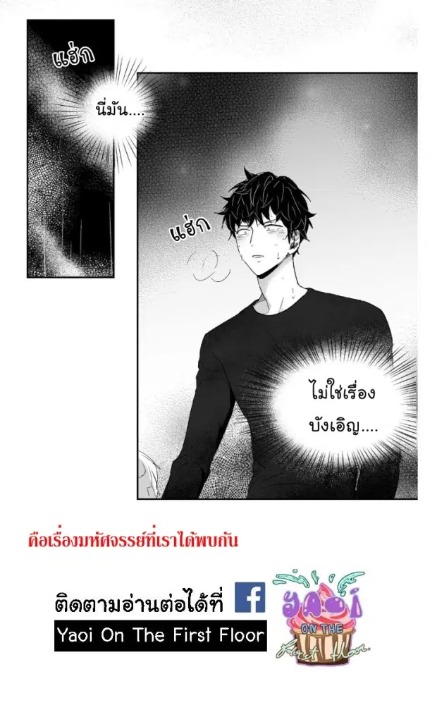 หน้า 41 จาก 41