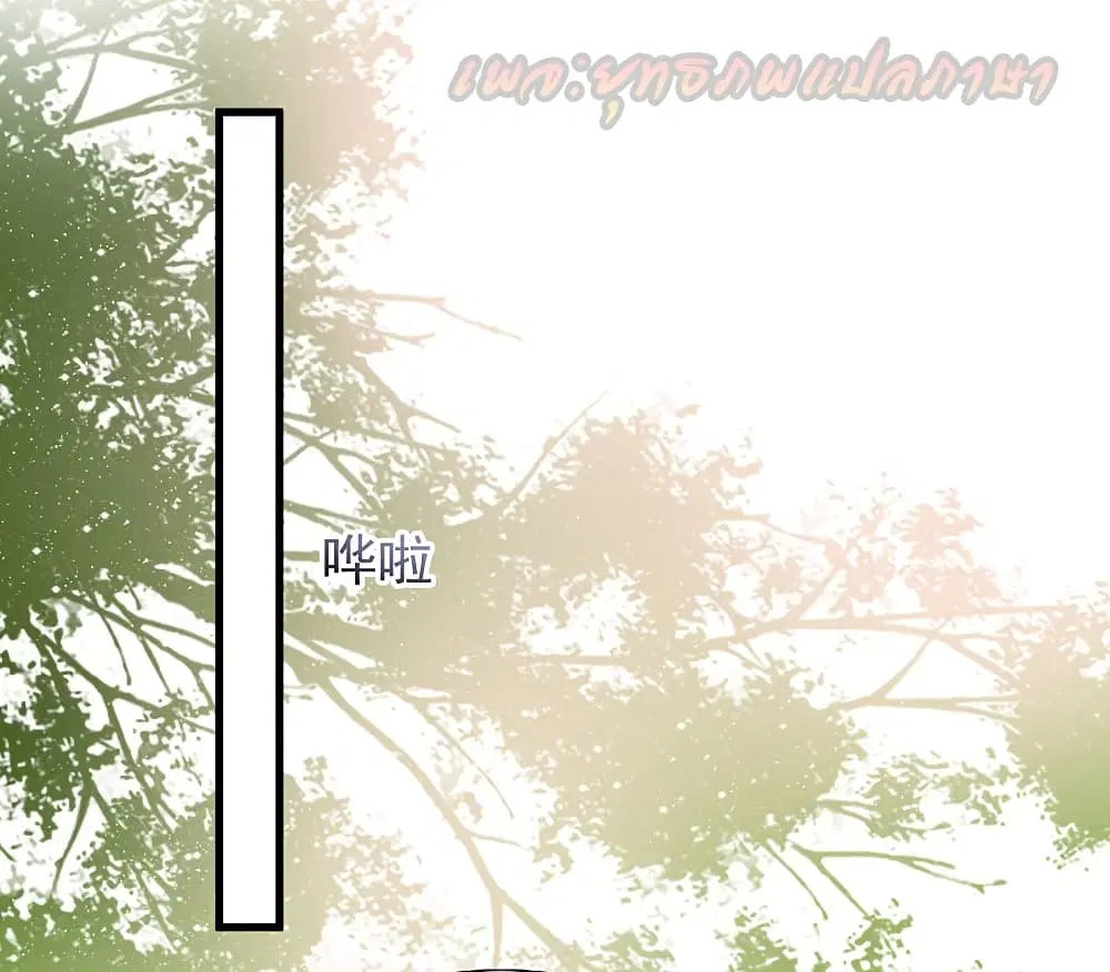 หน้า 24 จาก 43