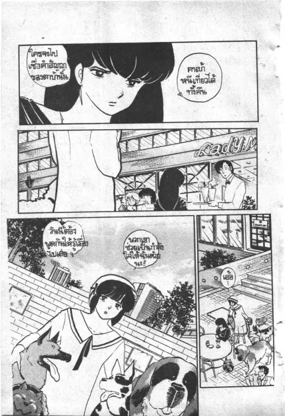 หน้า 23 จาก 26