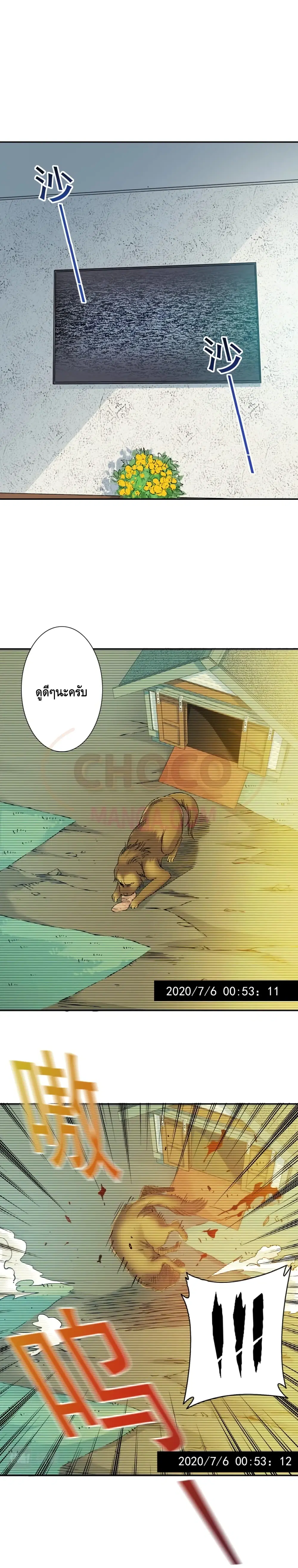 หน้า 5 จาก 19