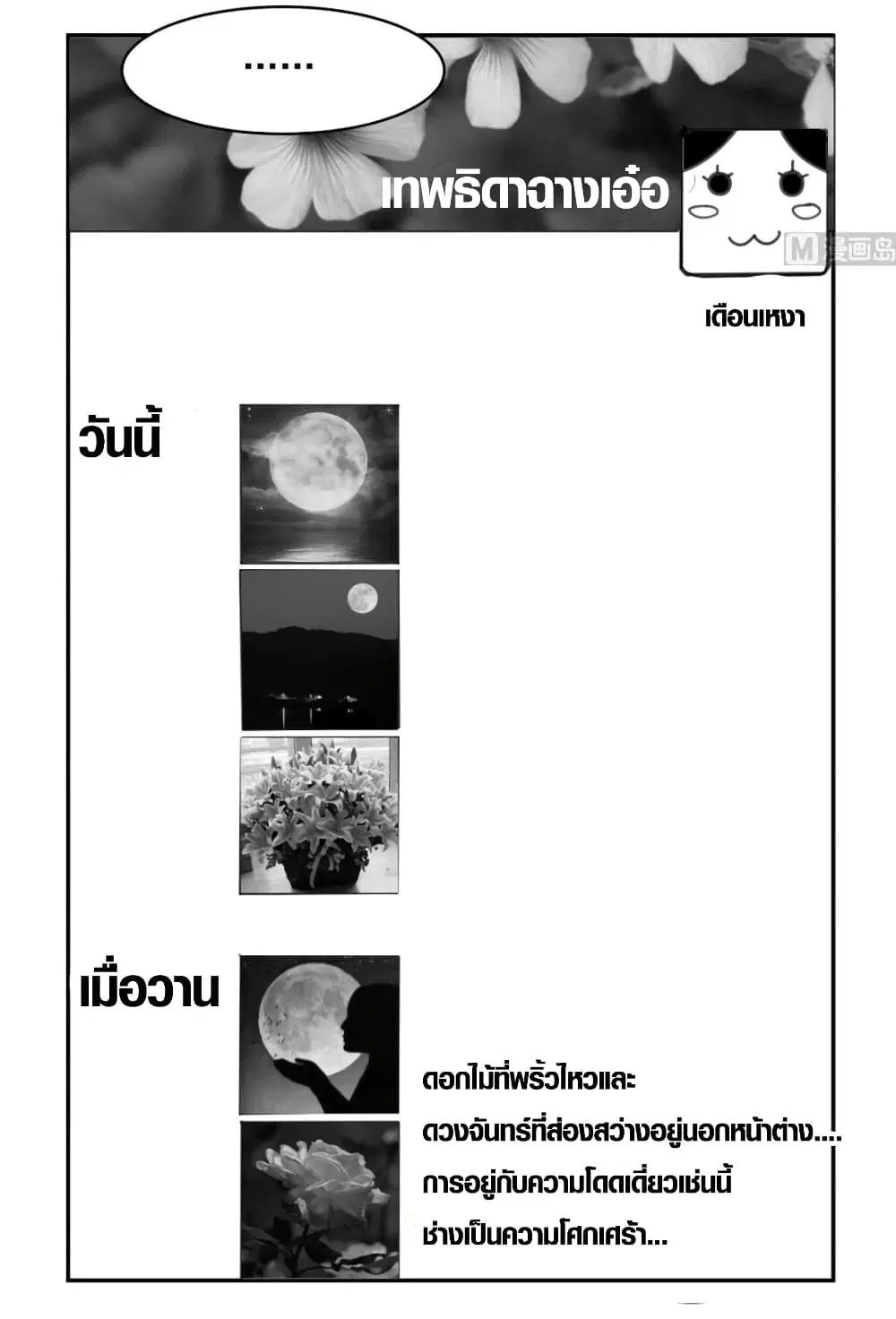 หน้า 19 จาก 24