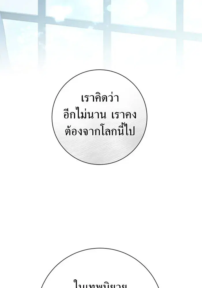 หน้า 13 จาก 195