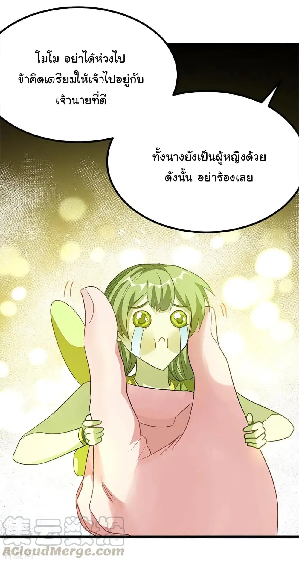 หน้า 22 จาก 37