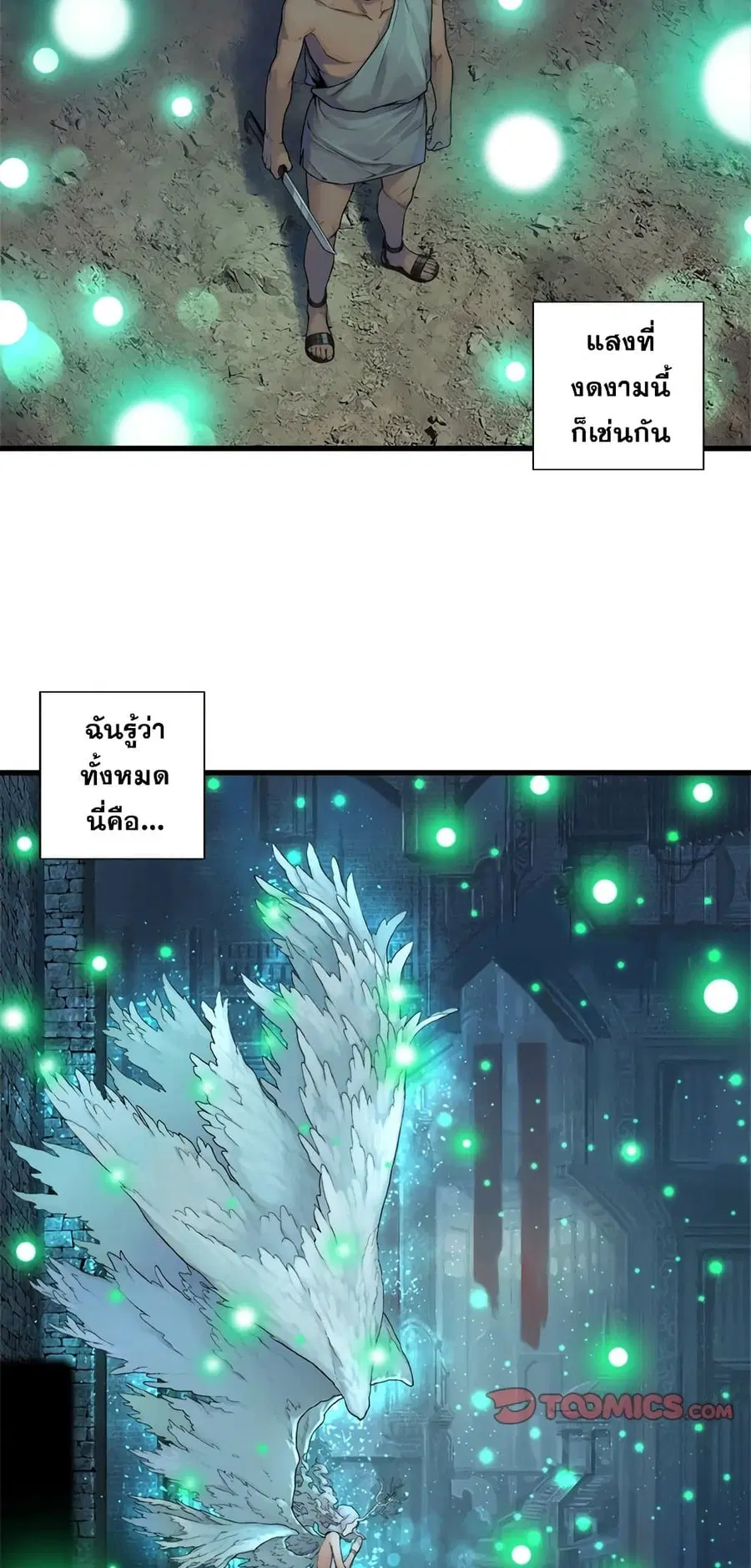 หน้า 6 จาก 29