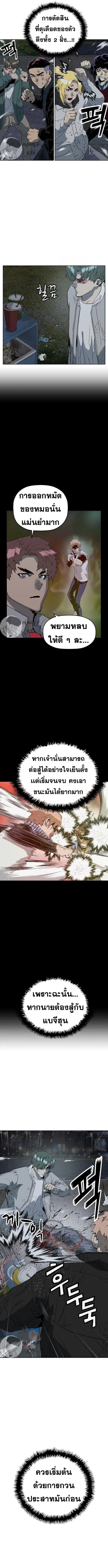 หน้า 3 จาก 17