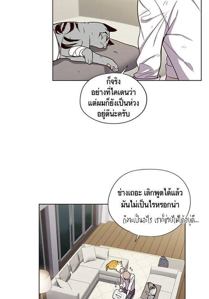 หน้า 19 จาก 100