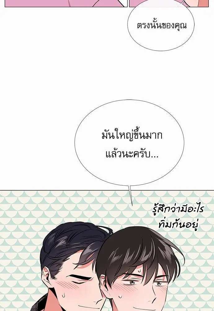 หน้า 49 จาก 67