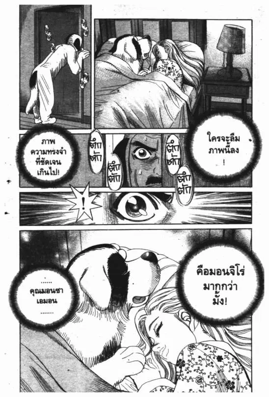 หน้า 13 จาก 20