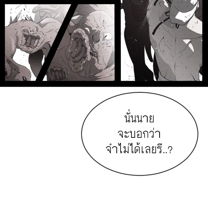 หน้า 41 จาก 113