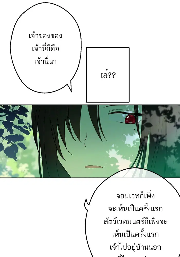 หน้า 43 จาก 96