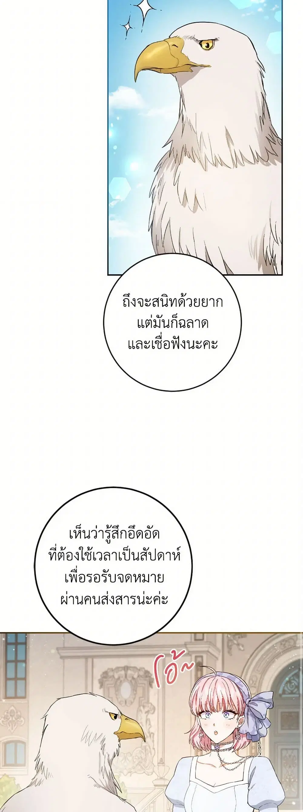 หน้า 27 จาก 40