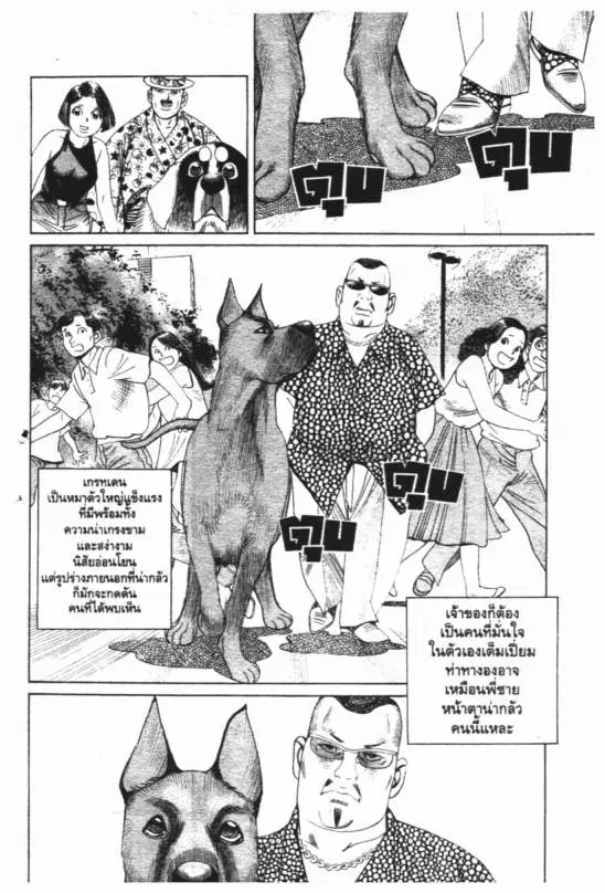 หน้า 7 จาก 21