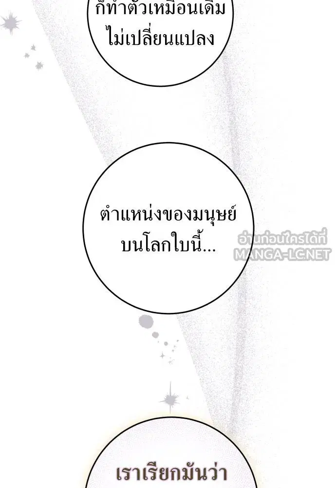 หน้า 81 จาก 164