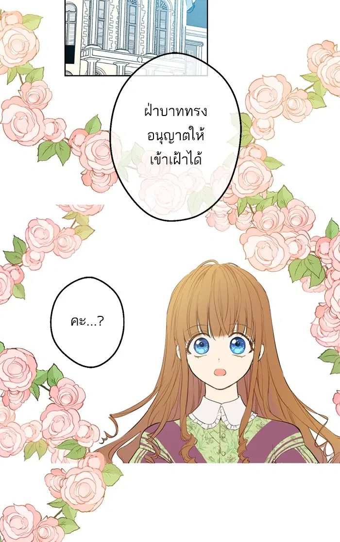 หน้า 44 จาก 77