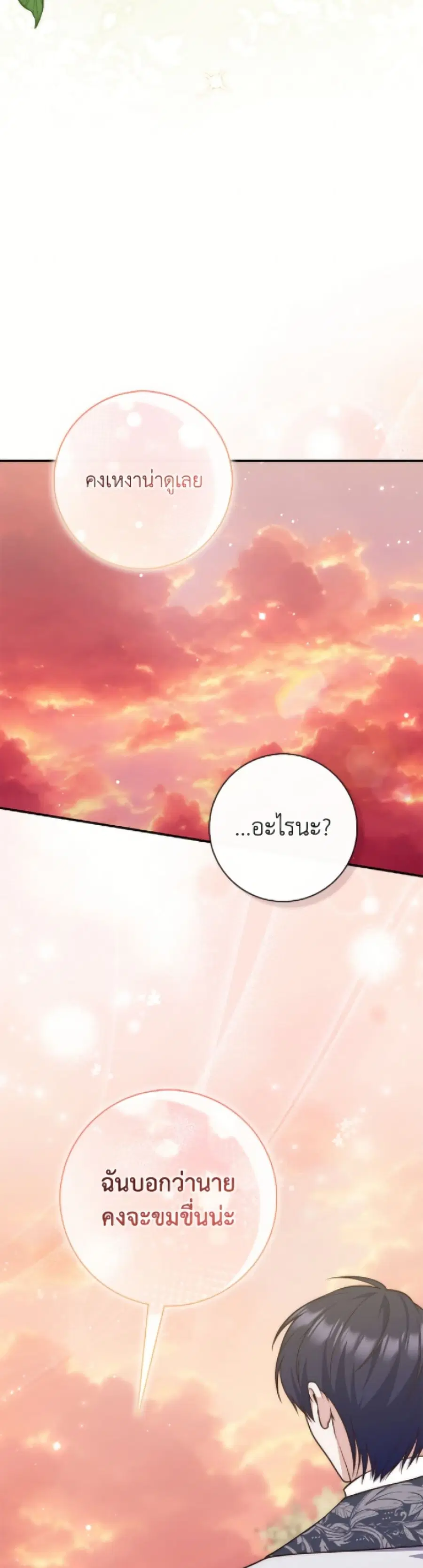 หน้า 26 จาก 52