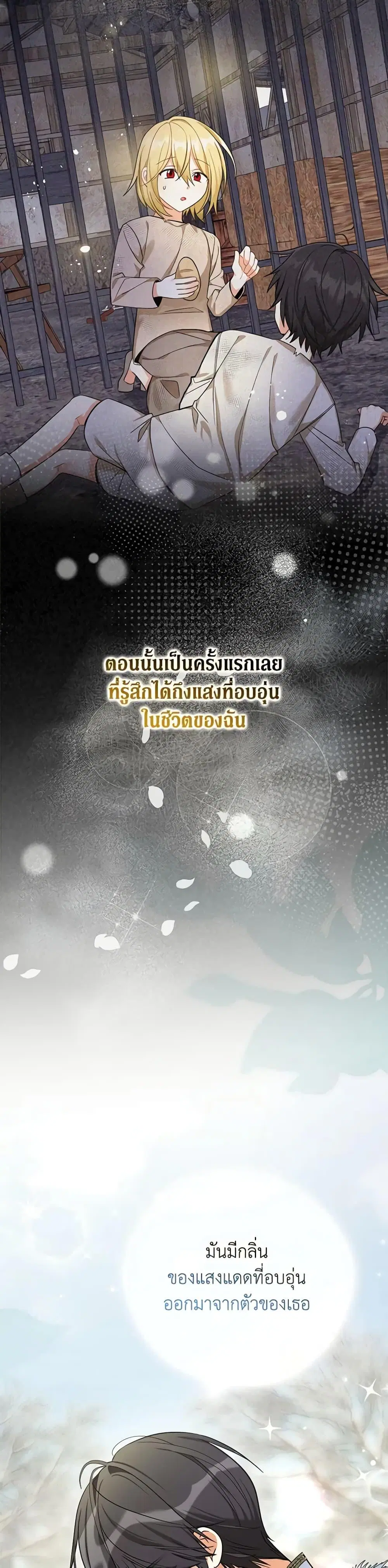 หน้า 29 จาก 52