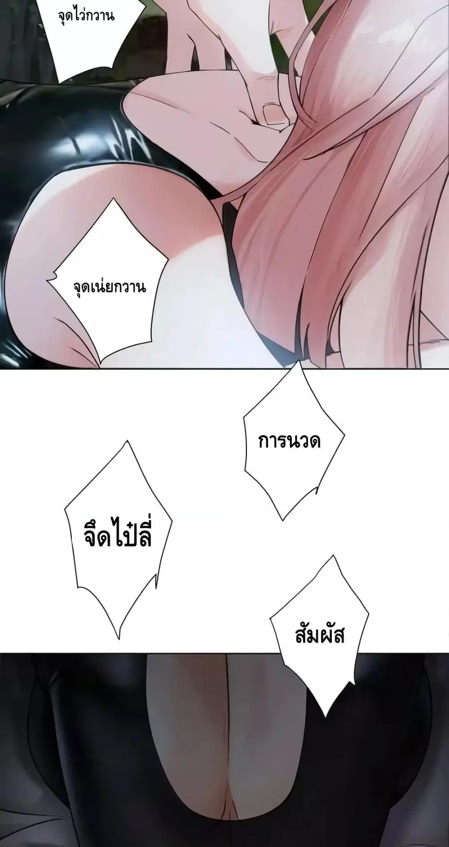 หน้า 6 จาก 42