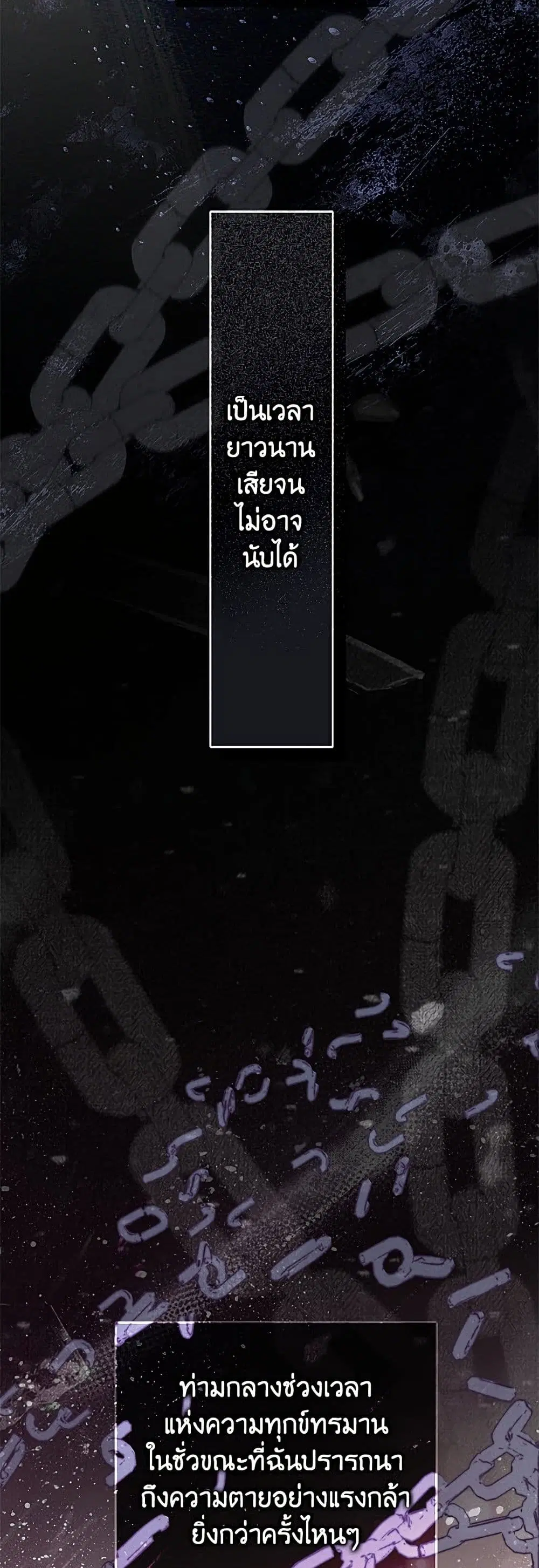 หน้า 42 จาก 52