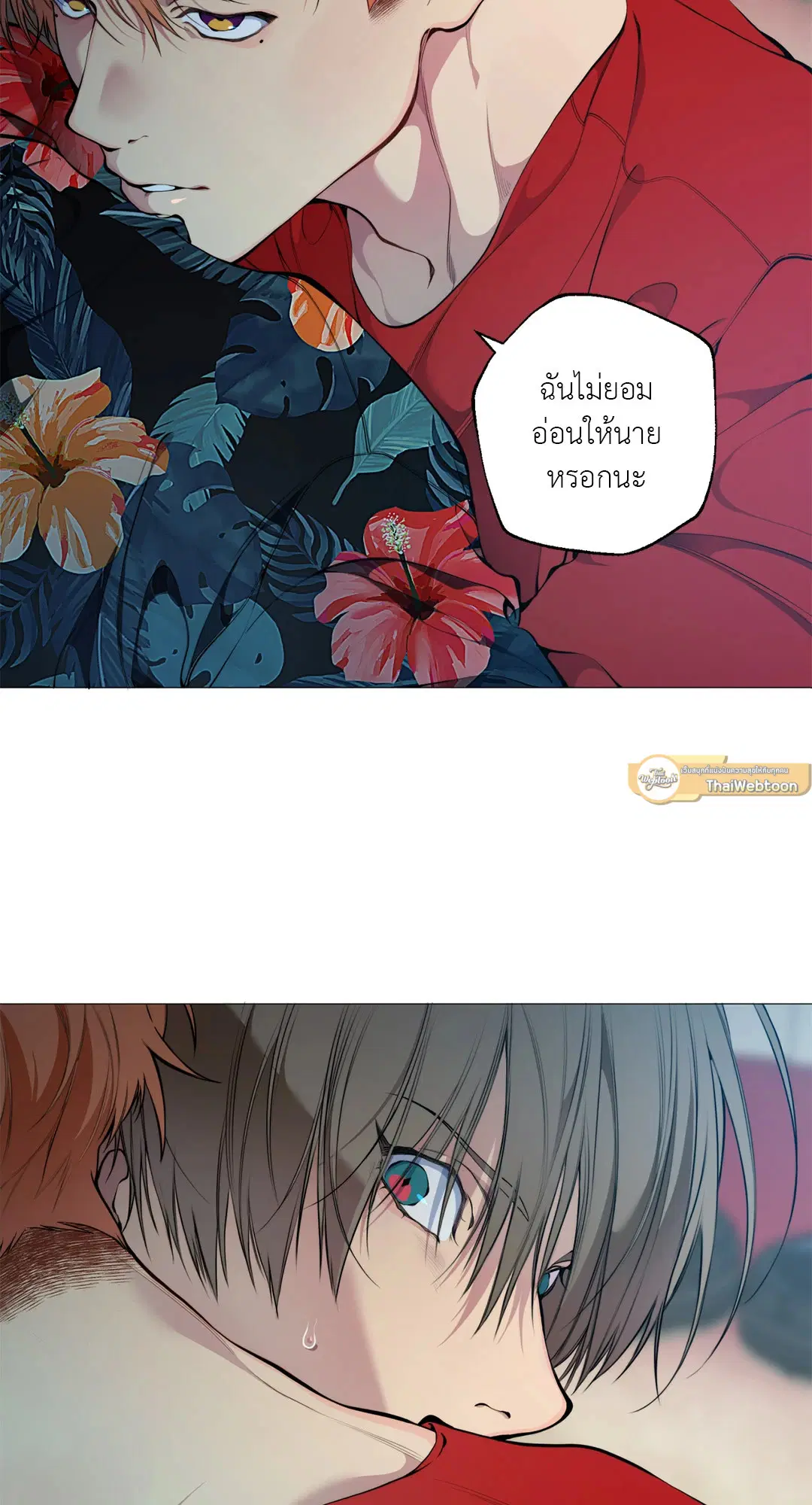 หน้า 51 จาก 68