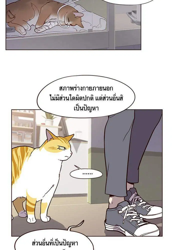 หน้า 64 จาก 81