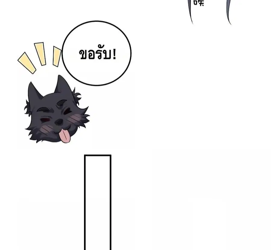 หน้า 4 จาก 49