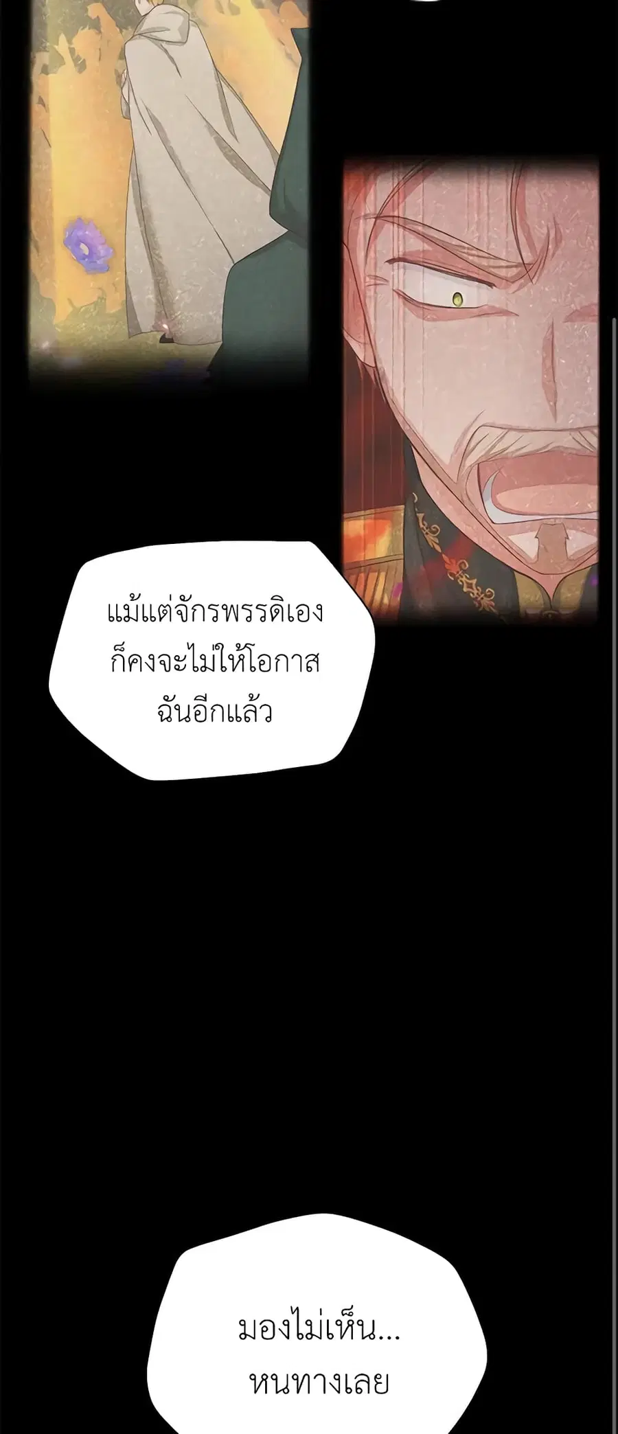 หน้า 49 จาก 52