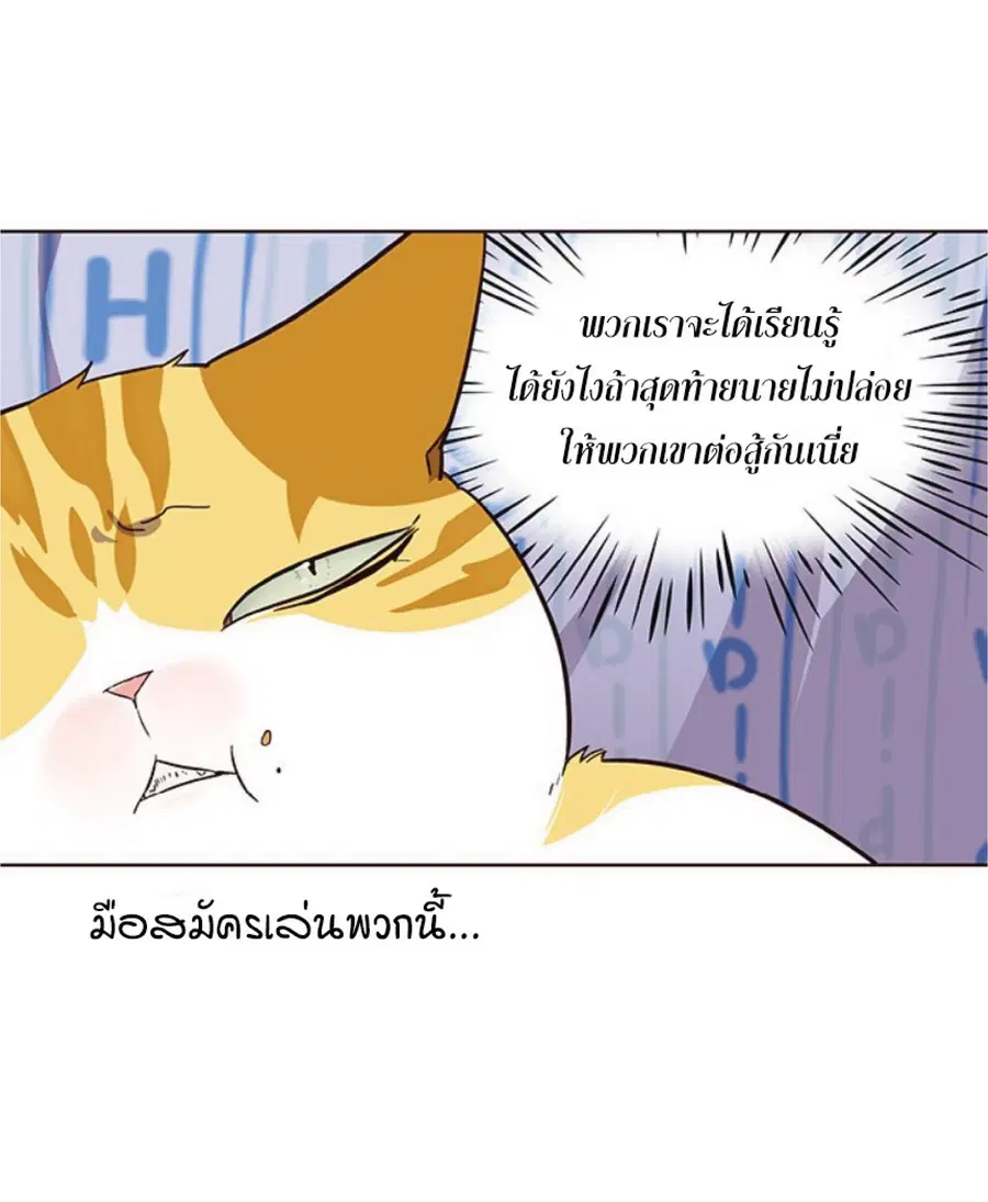 หน้า 39 จาก 85