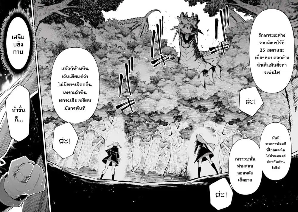 หน้า 13 จาก 49