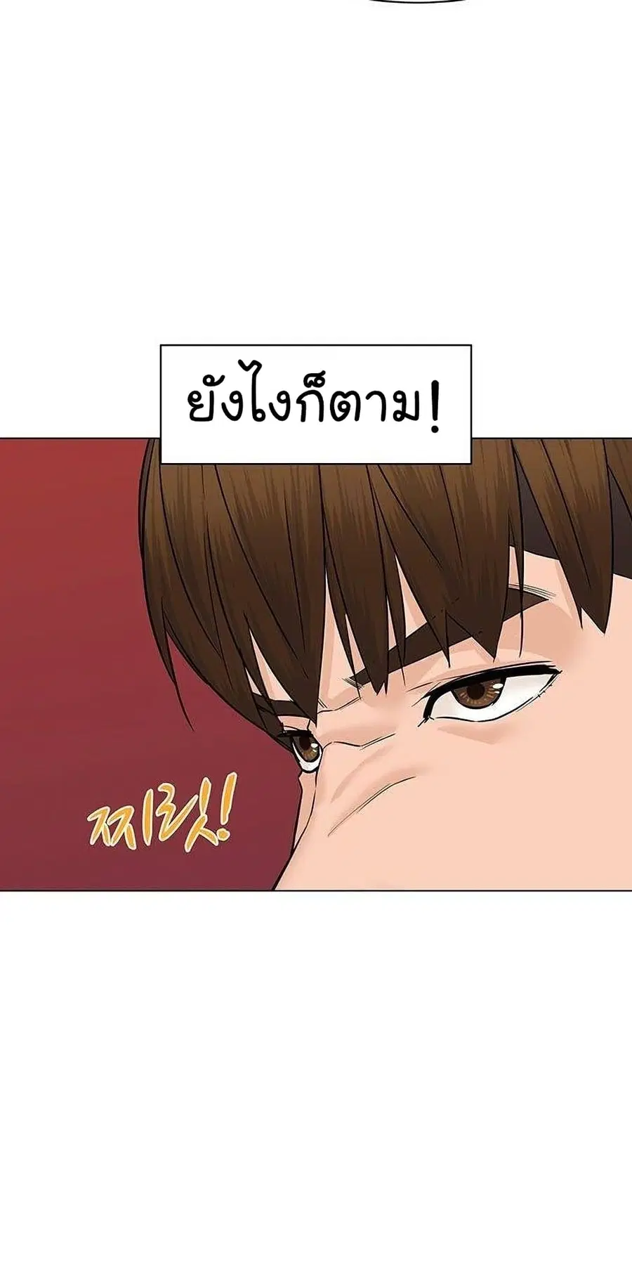 หน้า 17 จาก 95