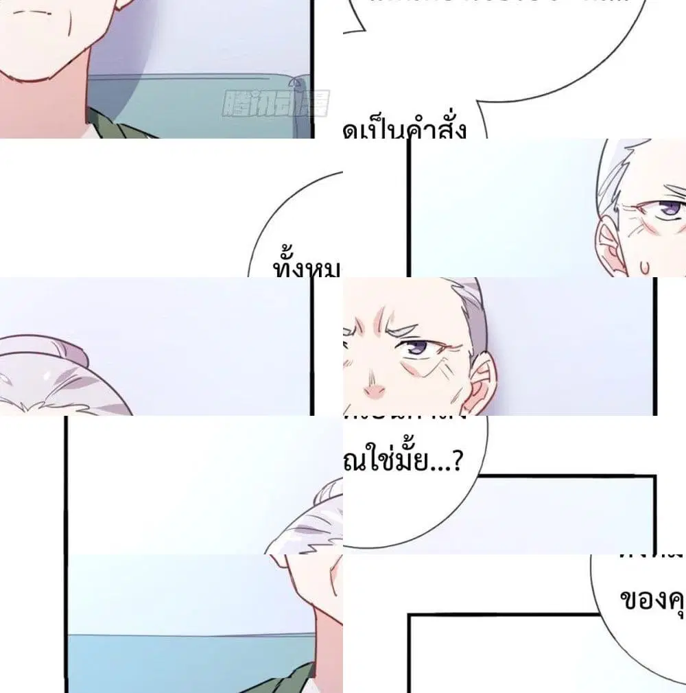 หน้า 13 จาก 13