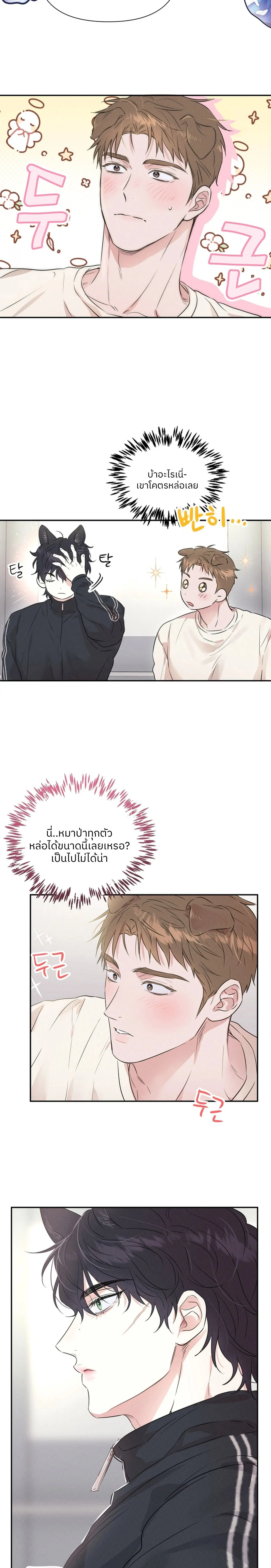 หน้า 16 จาก 17