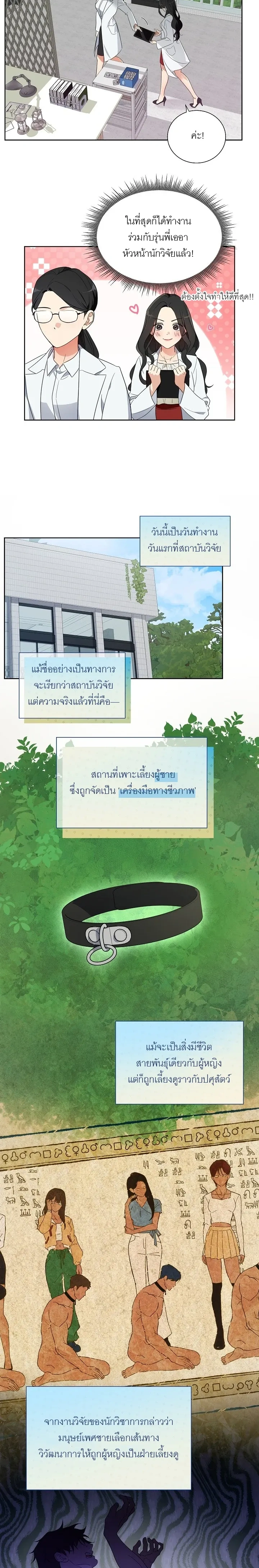 หน้า 6 จาก 26