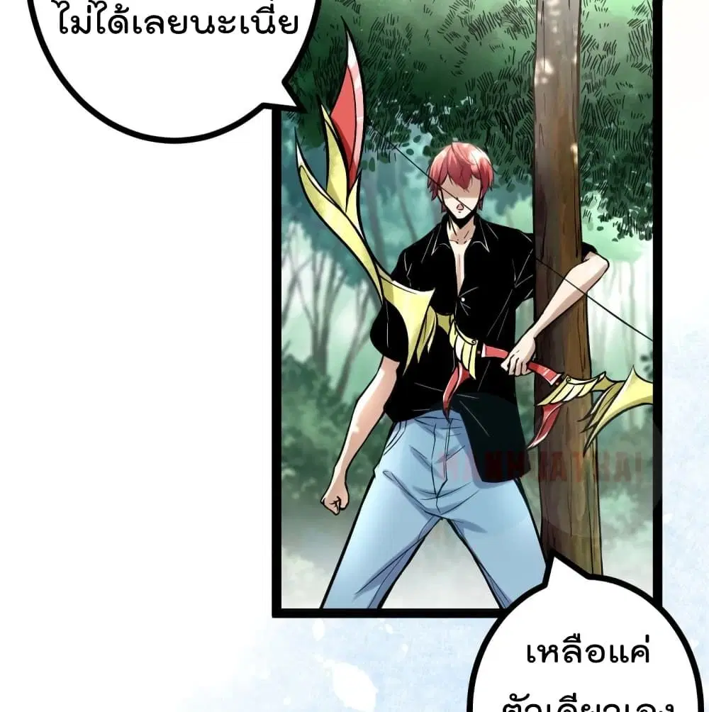 หน้า 6 จาก 66