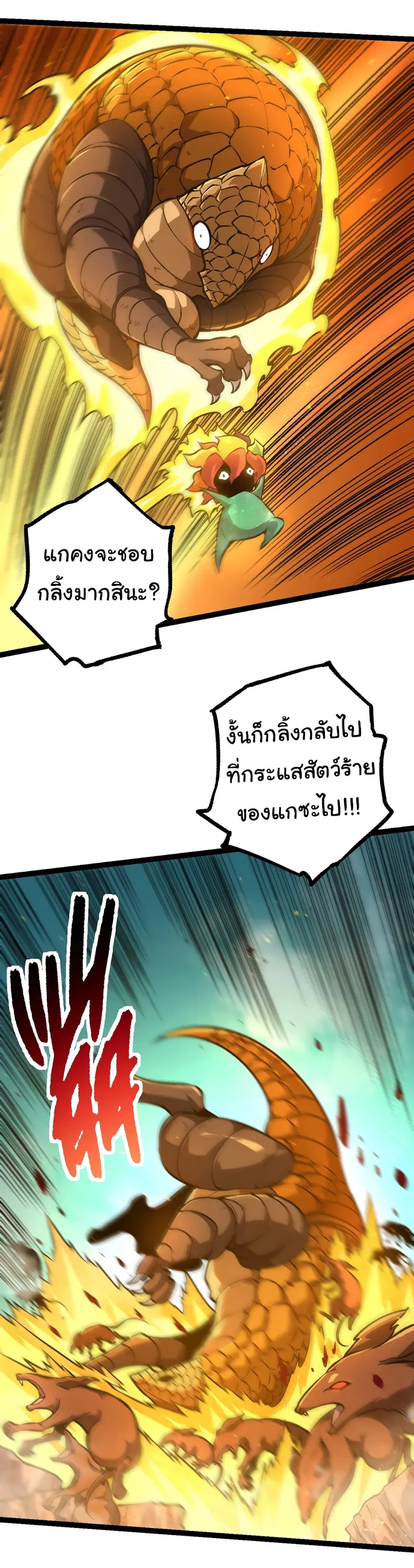 หน้า 13 จาก 40