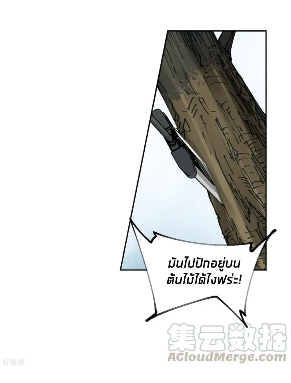 หน้า 35 จาก 61