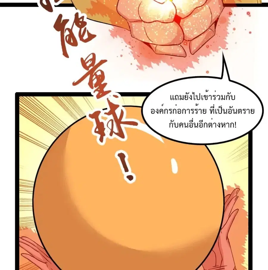 หน้า 17 จาก 67