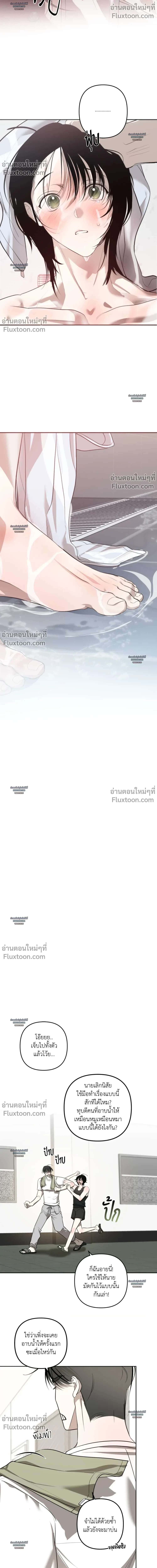 หน้า 22 จาก 31