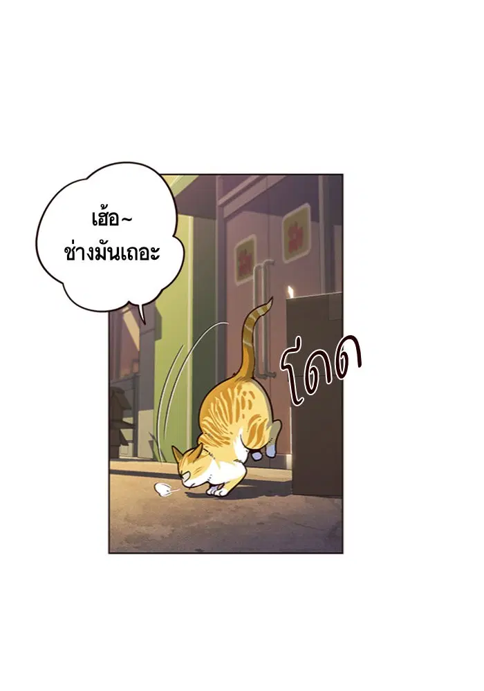 หน้า 4 จาก 100