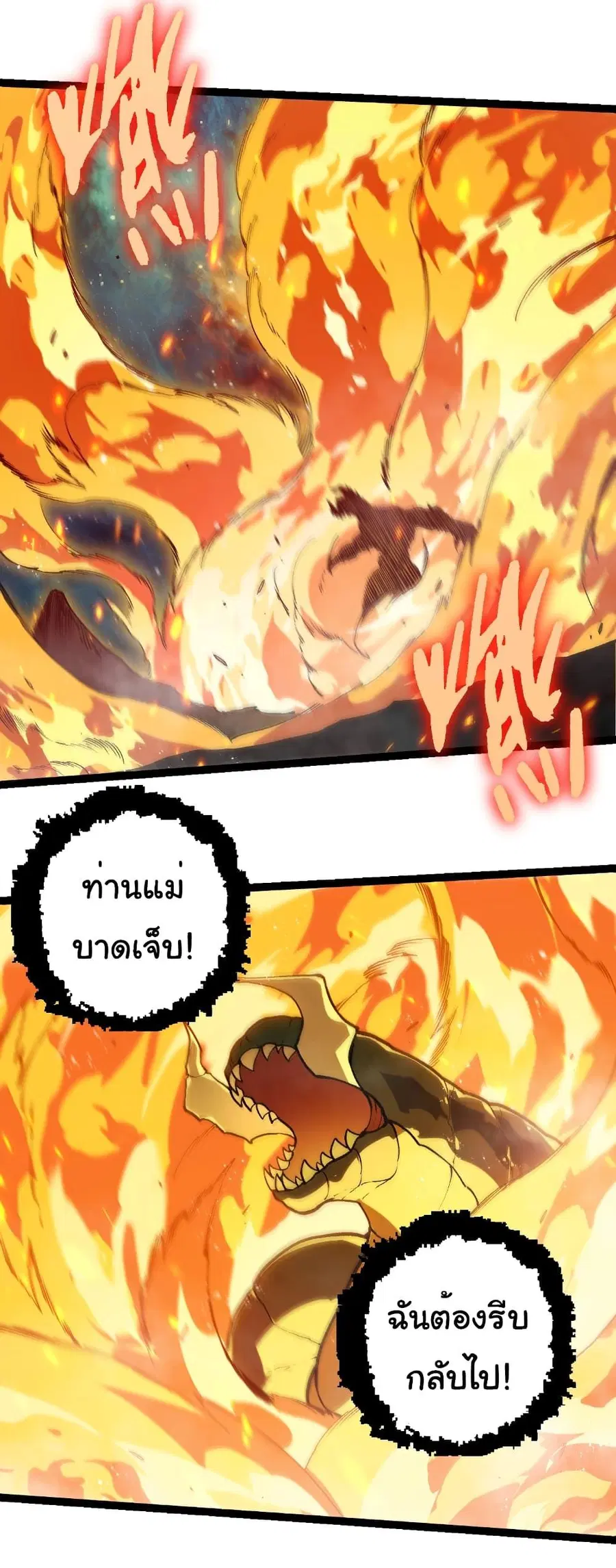 หน้า 6 จาก 31