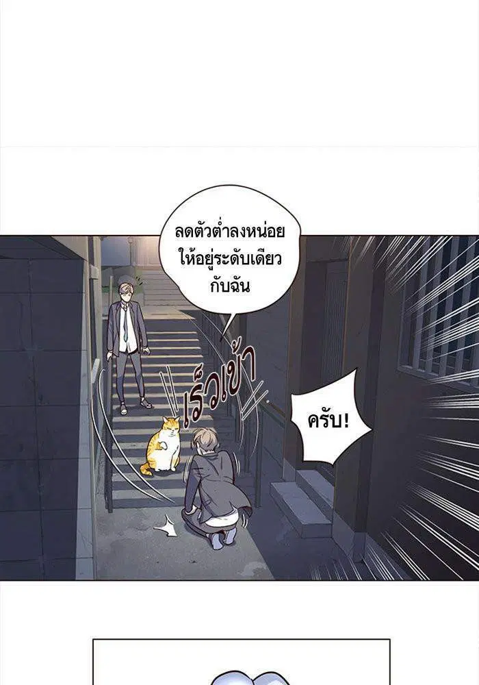 หน้า 52 จาก 98