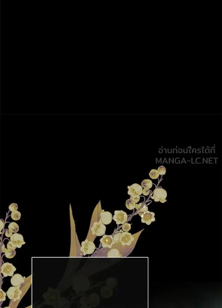 หน้า 51 จาก 177