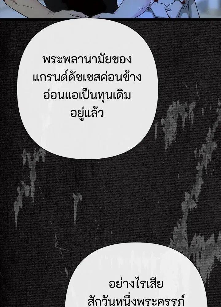 หน้า 46 จาก 157