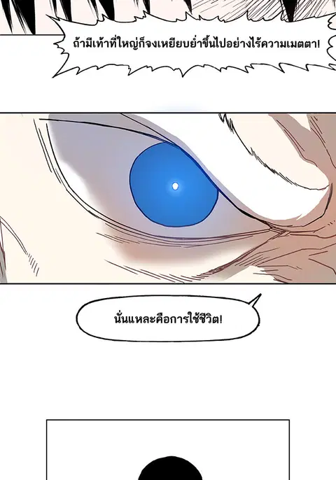 หน้า 41 จาก 51
