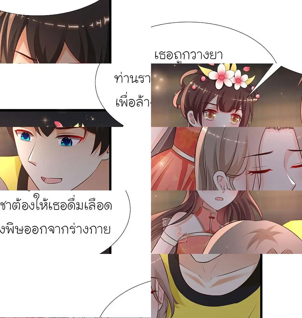 หน้า 2 จาก 13