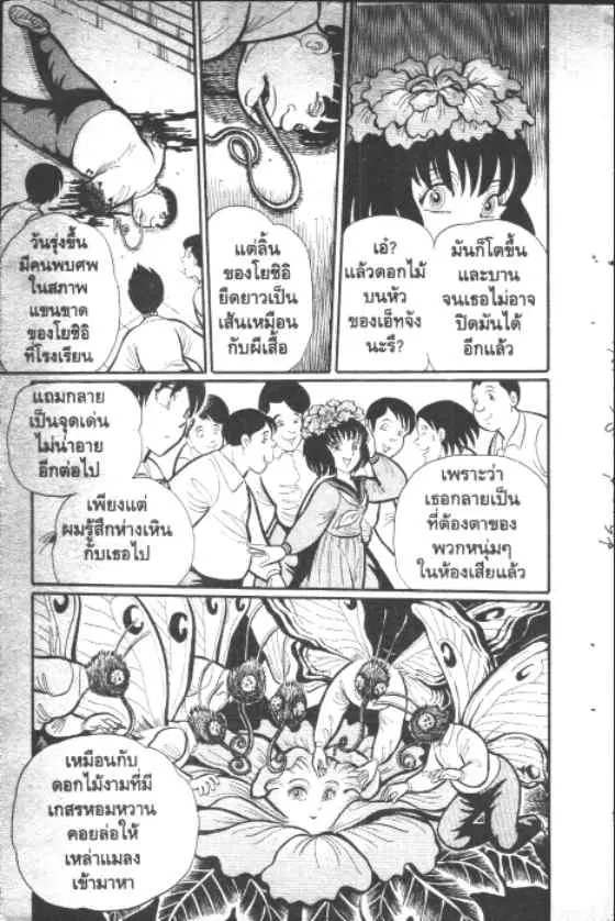 หน้า 10 จาก 10