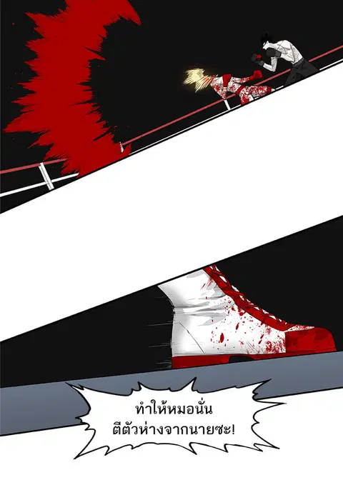 หน้า 121 จาก 226