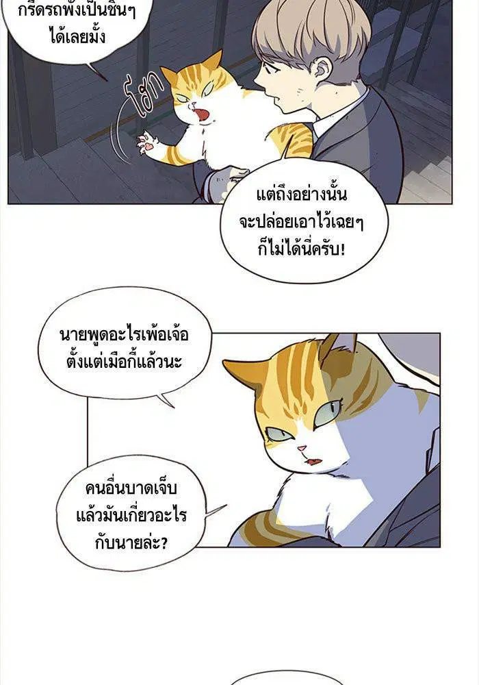 หน้า 45 จาก 98