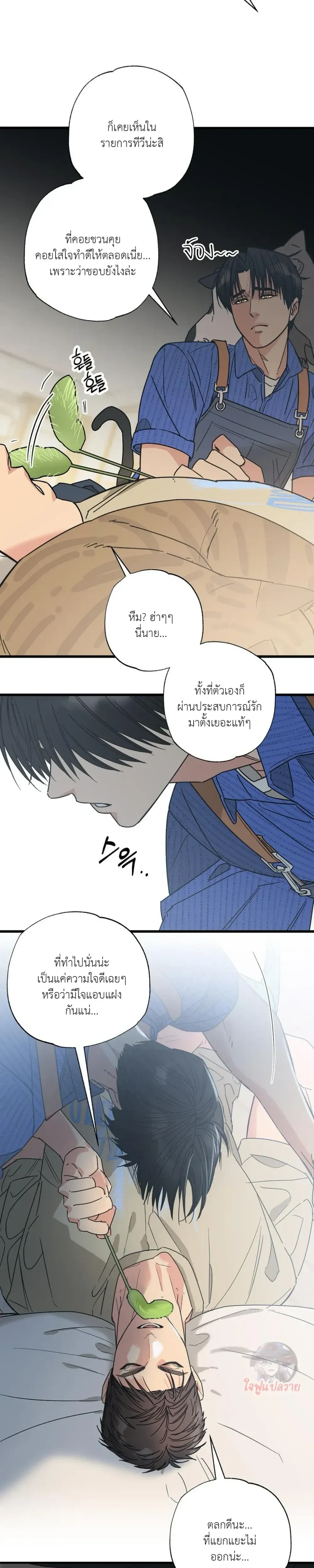 หน้า 14 จาก 19
