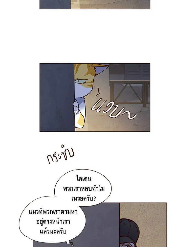หน้า 38 จาก 127
